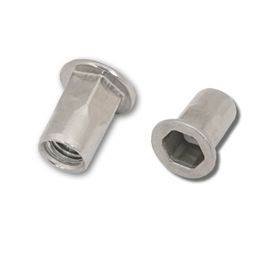 Flat Head Stainless Steel A4 Part Hexagon Body Blind Rivet Nut